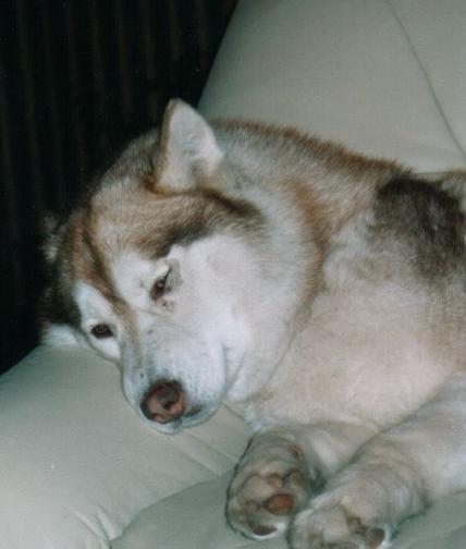 myra (40).jpg